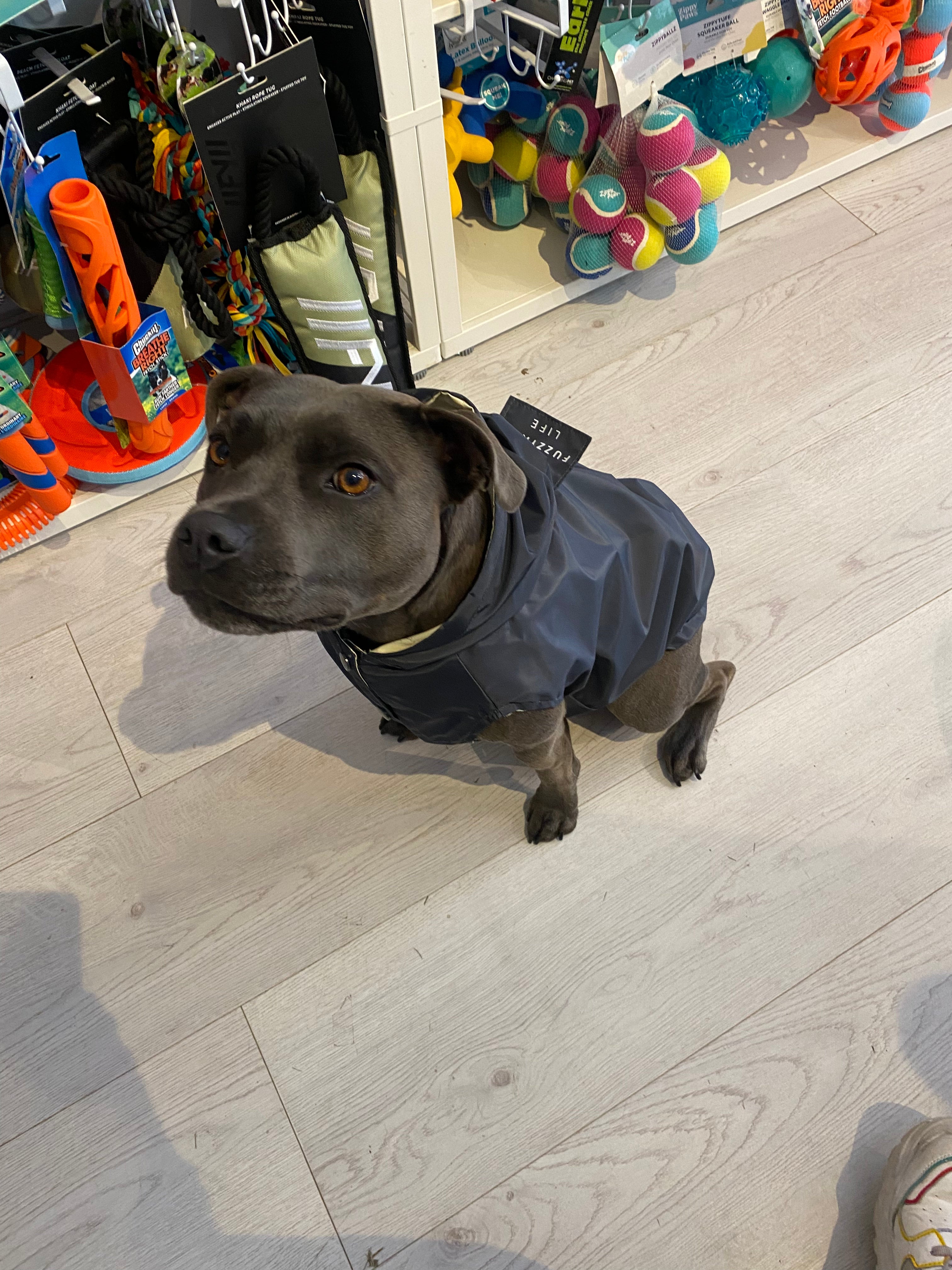 Fuzzyard Life Raincoat Slate Grey – B+T Pets