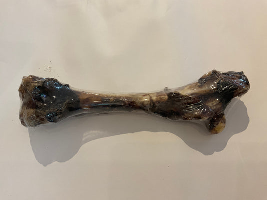 Roo Femur Bone