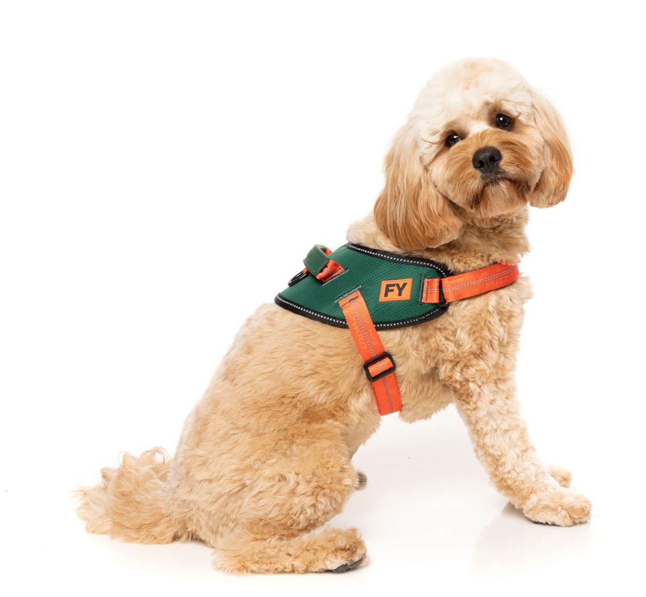 Fuzzyard Flash Harness Commando