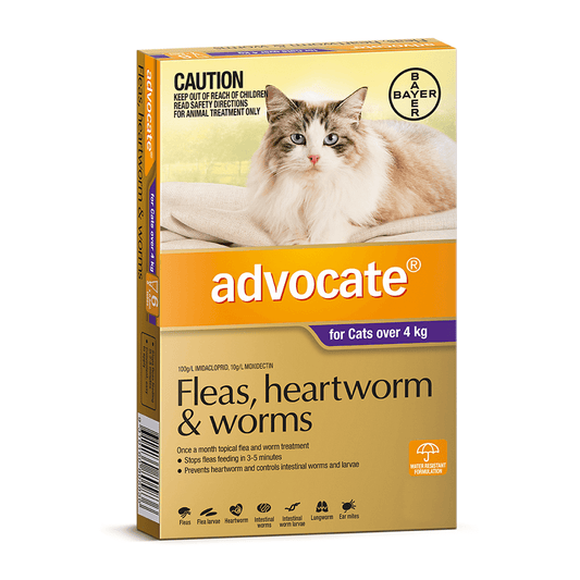 Advocate for Cats - 4kg+ (3)