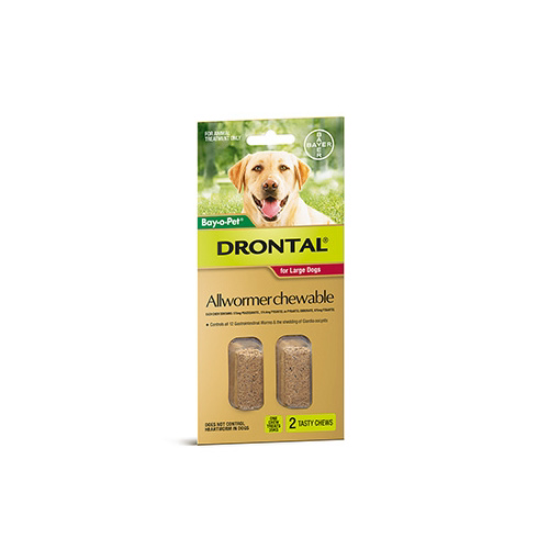 Drontal All Wormer Chewable