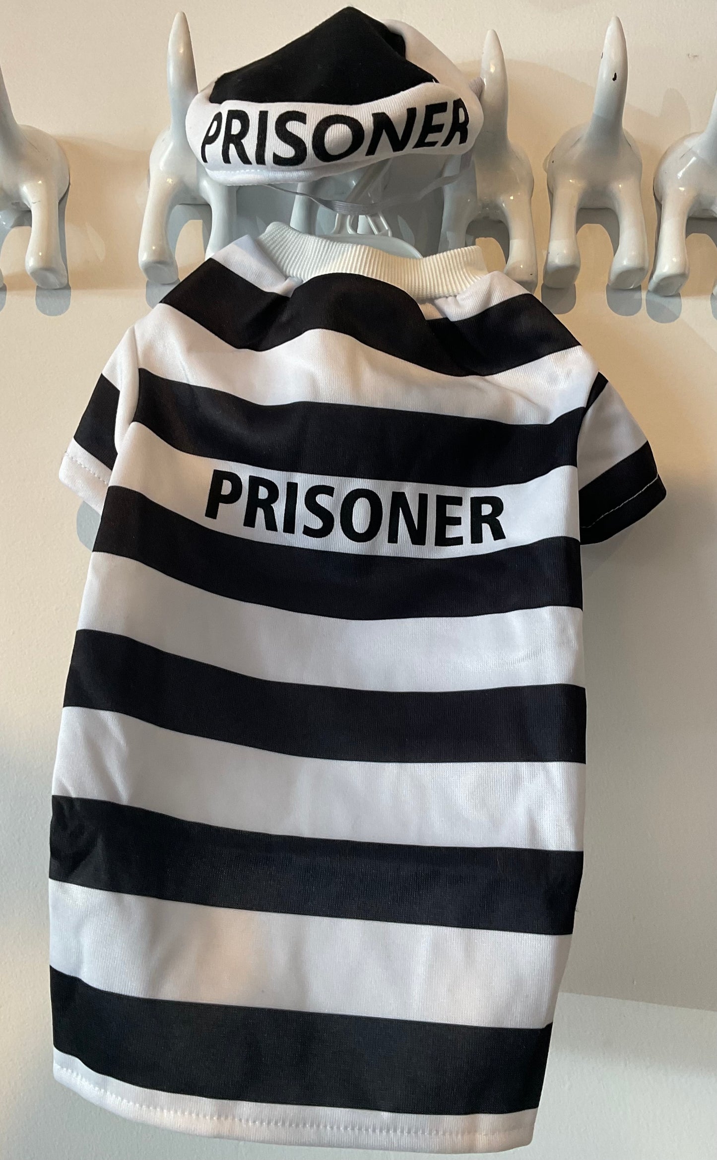 Halloween Costume - Prisoner