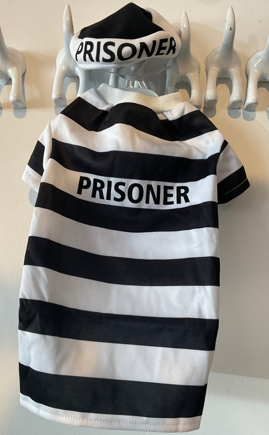 Halloween Costume - Prisoner
