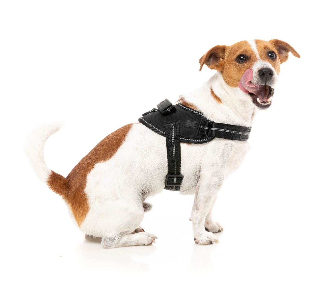 Fuzzyard Flash Harness Blackout