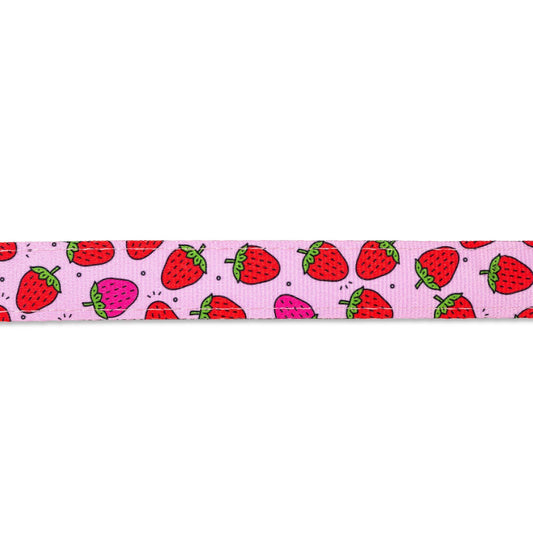 Max & Molly Smart ID Cat Collar - Stawberry Dream