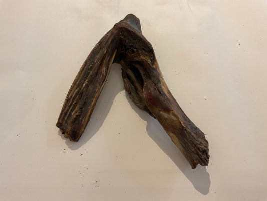 Roo Shoulder Bone
