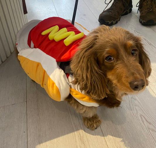 Halloween Costume - Hot Dog