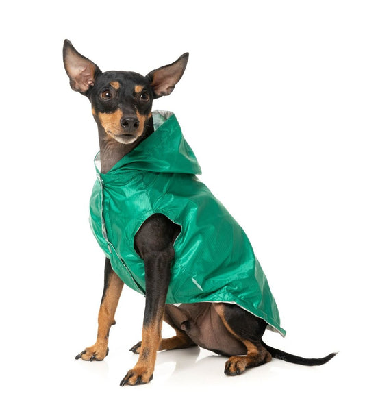 Fuzzyard Flipside Raincoat Green Beige